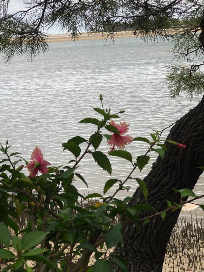 4Shore@Waterfrontplace Maroochydore Bagian luar foto